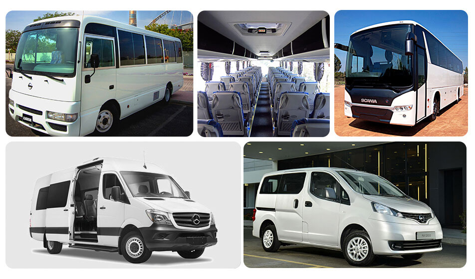 Transportation Services in Doha, Qatar - 3M International